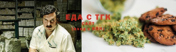 mdpv Вяземский