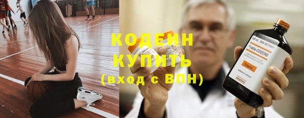 mdpv Вяземский