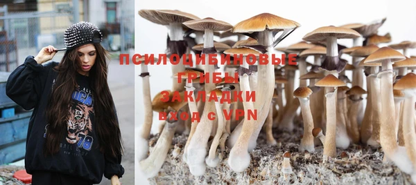 spice Волоколамск