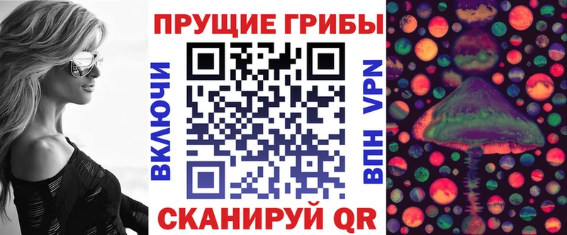 Галлюциногенные грибы MAGIC MUSHROOMS  купить наркотики сайты  Дзержинск 